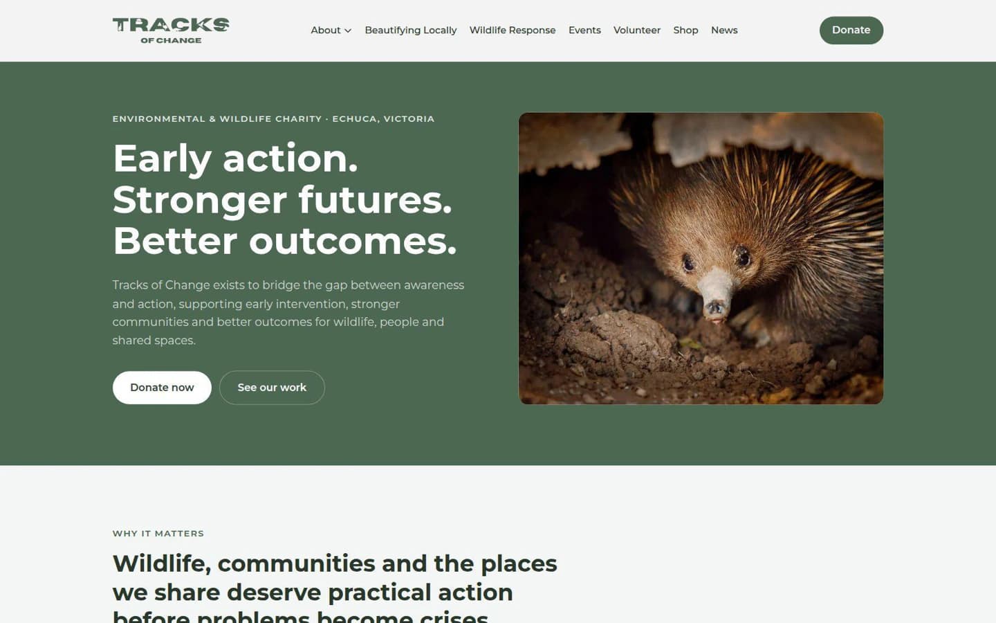 Tracks of Change website built by Hike, desktop view