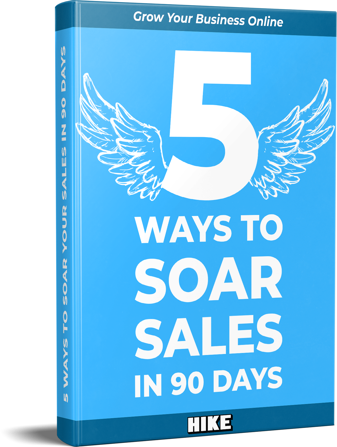 5 ways to soar your sales ebook